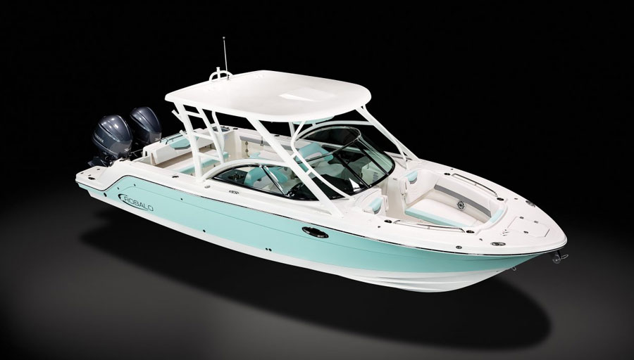 Robalo R317 Overview